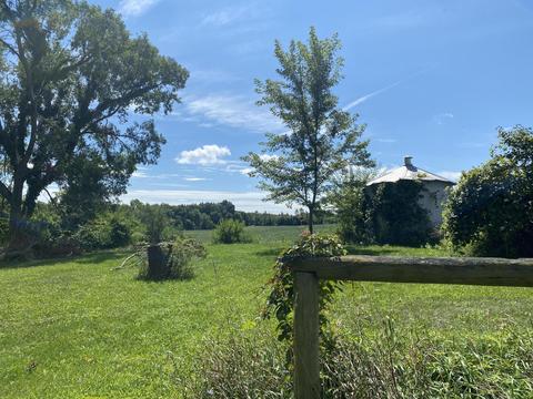 6091 E Reading Rd, Osseo, MI 49266 photo 5