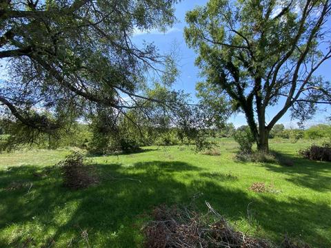 6091 E Reading Rd, Osseo, MI 49266 photo 14