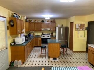 925 E Broadway St, Three Rivers, MI 49093 photo 3