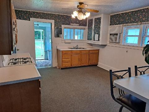 518 E Forrest St, Edmore, MI 48829 photo 2