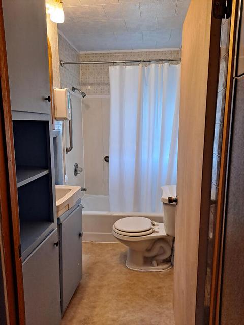 518 E Forrest St, Edmore, MI 48829 photo 7