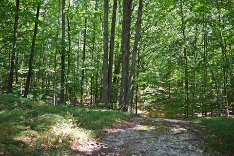 6392 Fox Den Rd, Custer, MI 49405 photo 36