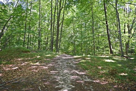 6392 Fox Den Rd, Custer, MI 49405 photo 35