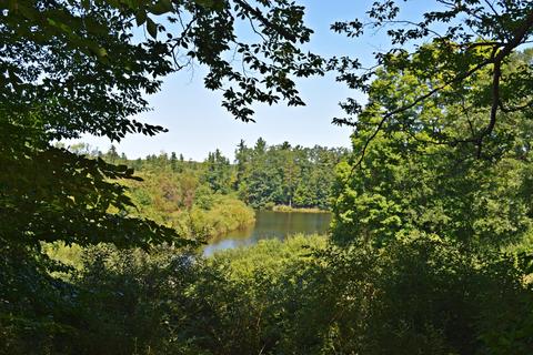6392 Fox Den Rd, Custer, MI 49405 photo 34