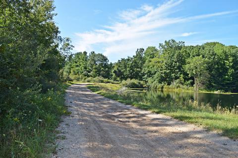 6392 Fox Den Rd, Custer, MI 49405 photo 39