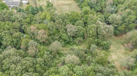 171 E Baseline Rd, Plainwell, MI 49080 photo 13