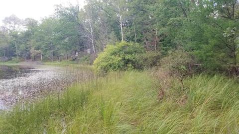853 E Logan Blvd, Baldwin, MI 49304 photo 3