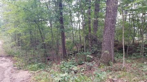 853 E Logan Blvd, Baldwin, MI 49304 photo 5