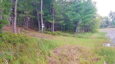 853 E Logan Blvd, Baldwin, MI 49304 photo 8