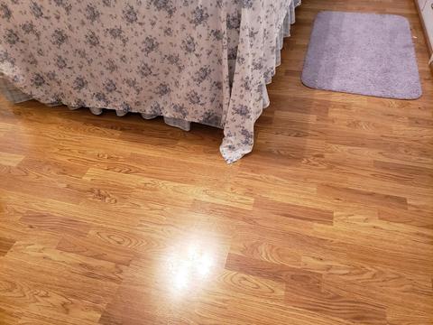 1355 Swain St, White Cloud, MI 49349 photo 15