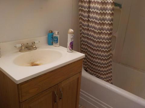 118 Ridge, Jackson, MI 49202 photo 9