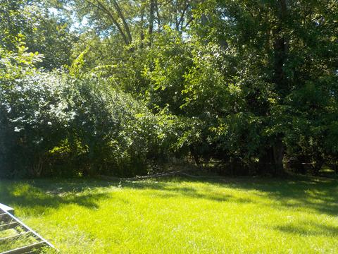 118 Ridge, Jackson, MI 49202 photo 3
