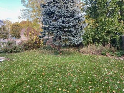 233 N Webster St, Jackson, MI 49202 photo 27