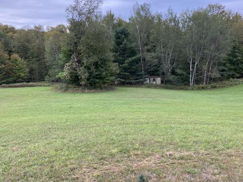 7741 E 64th St, Chase, MI 49623 photo 43