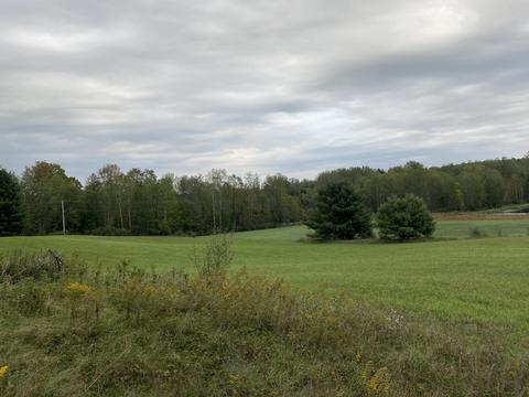 7741 E 64th St, Chase, MI 49623 photo 38