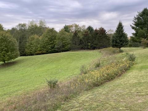 7741 E 64th St, Chase, MI 49623 photo 40