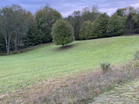 7741 E 64th St, Chase, MI 49623 photo 41