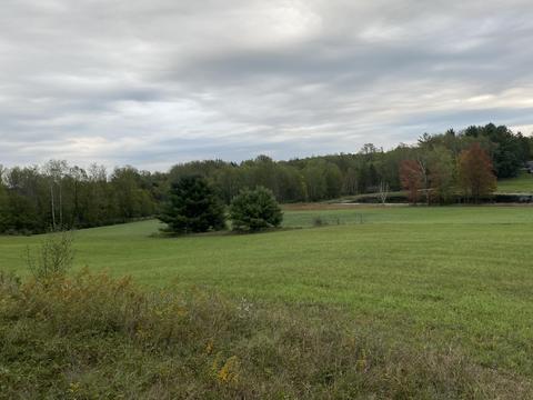 7741 E 64th St, Chase, MI 49623 photo 37
