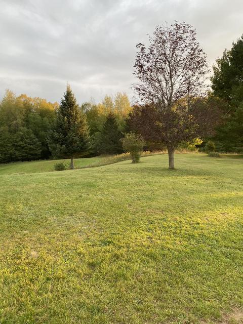 7741 E 64th St, Chase, MI 49623 photo 48
