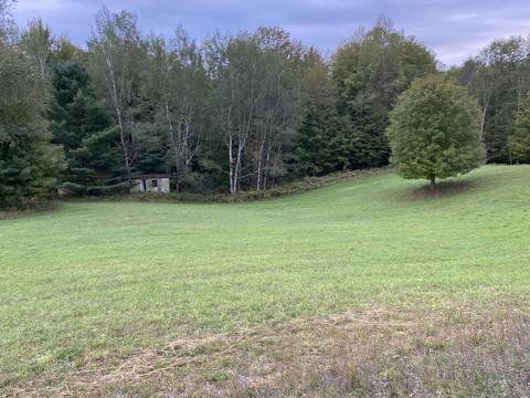 7741 E 64th St, Chase, MI 49623 photo 42