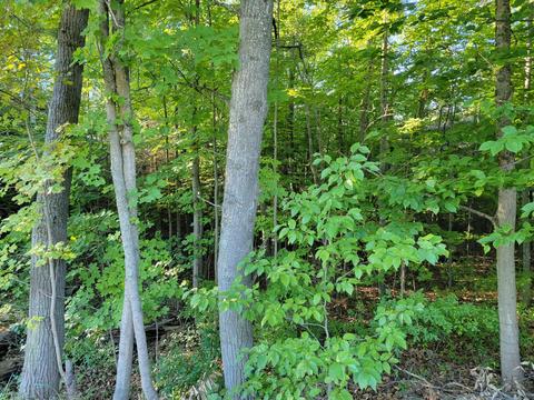 5275 Joseph Rd, Onekama, MI 49675 photo 51