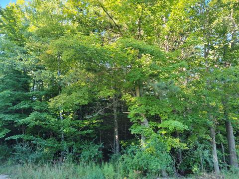 5275 Joseph Rd, Onekama, MI 49675 photo 52