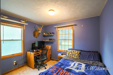 13201 Shutter Dr SE, Lowell, MI 49331 photo 17