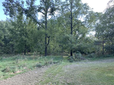 7630 Wheeler Rd, Concord, MI 49237 photo 45