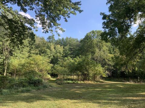 7630 Wheeler Rd, Concord, MI 49237 photo 46