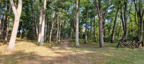 2500 Clark St, Jackson, MI 49202 photo 30