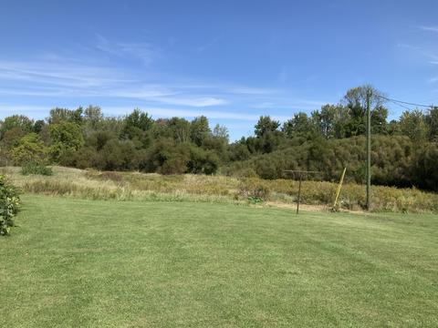 1975 Shaw Rd, Bailey, MI 49303 photo 10