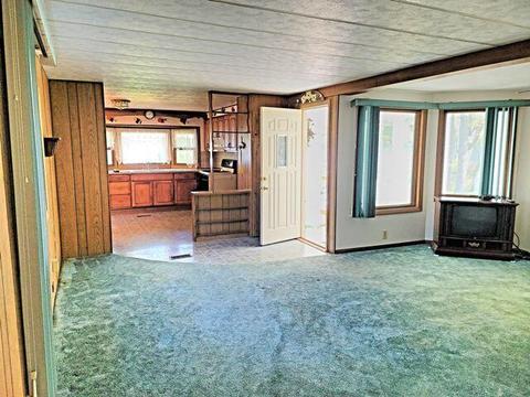 905 Beaver Rd, Bitely, MI 49309 photo 20