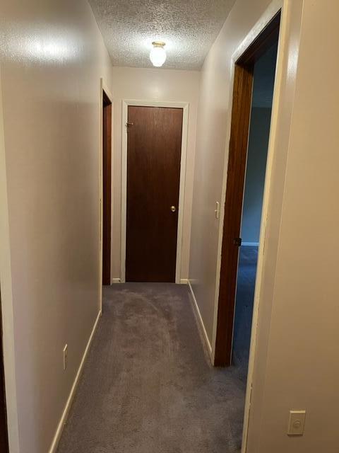 355 E Dexter Trl, Mason, MI 48854 photo 26