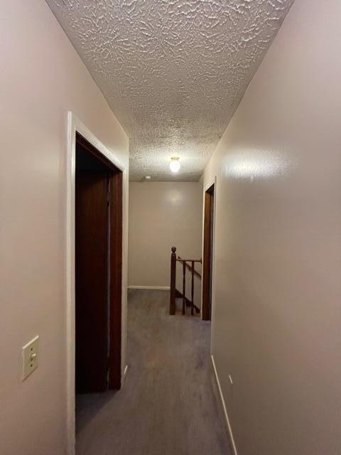 355 E Dexter Trl, Mason, MI 48854 photo 4