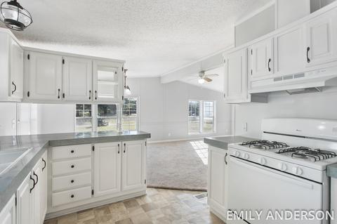 4841 109th Ave, Pullman, MI 49450 photo 13