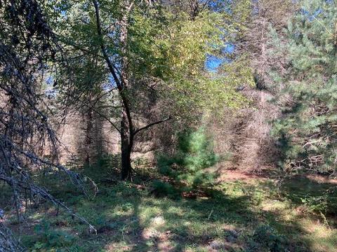 11588 Erwin Rd, Copemish, MI 49625 photo 19