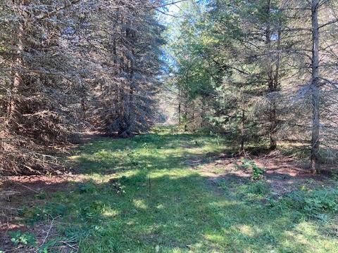11588 Erwin Rd, Copemish, MI 49625 photo 15