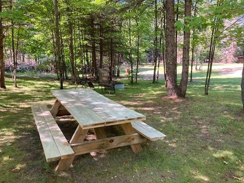11588 Erwin Rd, Copemish, MI 49625 photo 31
