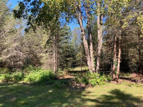 11588 Erwin Rd, Copemish, MI 49625 photo 12