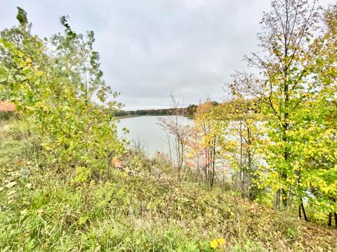755 Wolverine Dr, Gladwin, MI 48624 photo 55