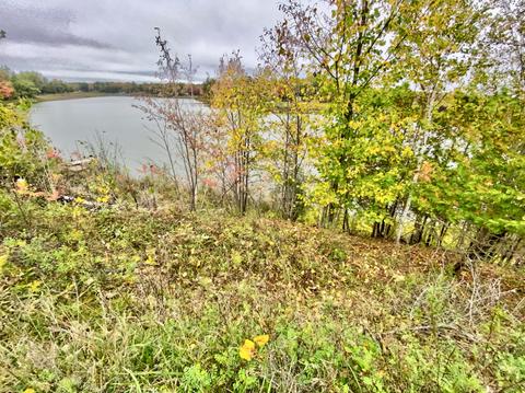 755 Wolverine Dr, Gladwin, MI 48624 photo 57