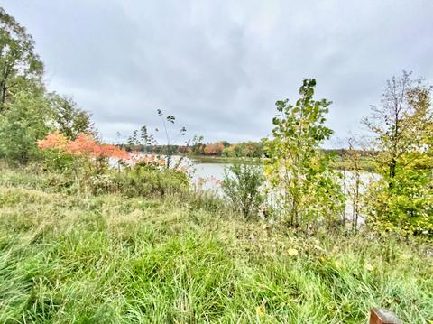755 Wolverine Dr, Gladwin, MI 48624 photo 63