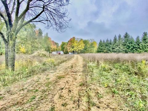 755 Wolverine Dr, Gladwin, MI 48624 photo 46