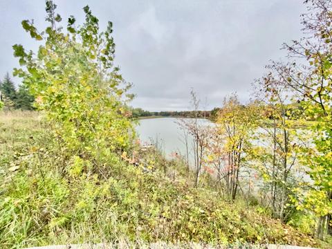 755 Wolverine Dr, Gladwin, MI 48624 photo 56