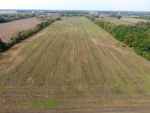 11579 Tuttle Rd, Waldron, MI 49288 photo 7