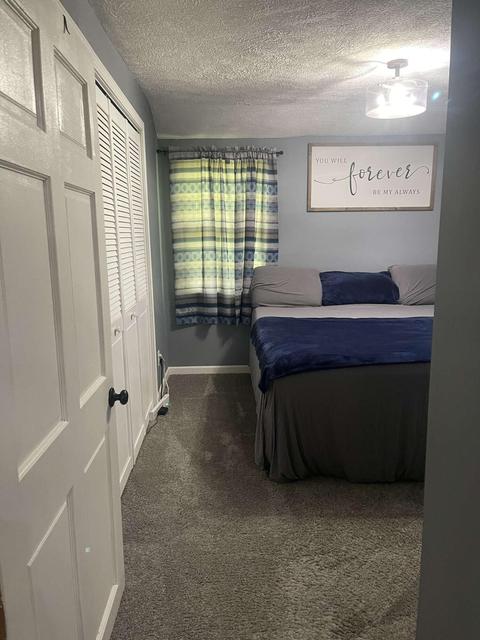244 S Prairie St, Lyons, MI 48851 photo 19