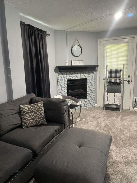 244 S Prairie St, Lyons, MI 48851 photo 8