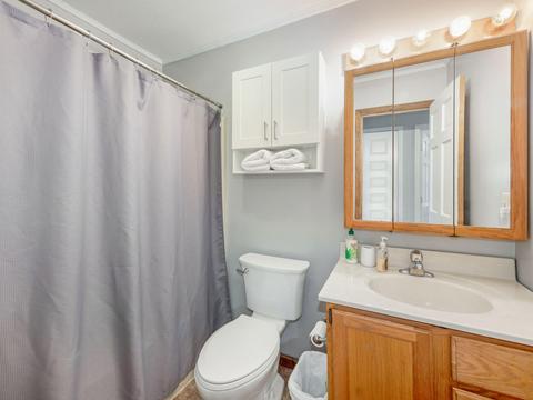 11624 Dublin Dr, Jerome, MI 49249 photo 9