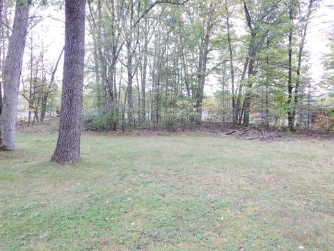 703 E 88th St, Newaygo, MI 49337 photo 7