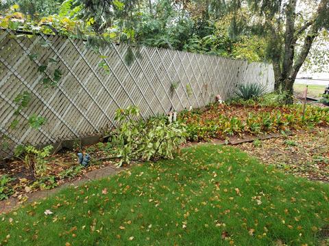 1352 Page Ave, Jackson, MI 49203 photo 29